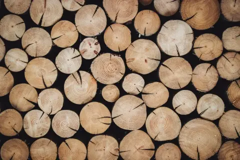 Drewniane plastry ułożone w stos, tworzące naturalne wzory i inspiracje do projektów.