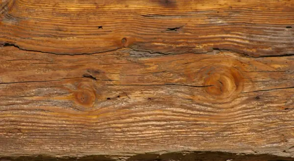 Słoje drewna tworzą piękny, naturalny wzór. Widoczne są sęki i pęknięcia, nadające mu charakterystyczny efekt starego drewna.