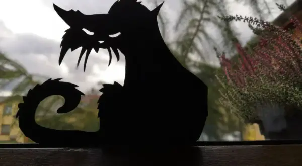 Czarny, papierowy kot, idealny jako ozdoby na Halloween zrób to sam. Jego groźny wygląd dodaje klimatu.